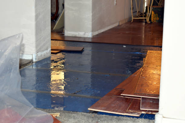 Professional Emergency Water Damage technician working in Monponsett, MA